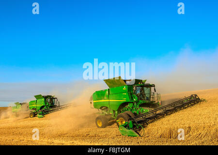 Plusieurs moissonneuses-batteuses John Deere la récolte dans la région de Washington Palouse Banque D'Images