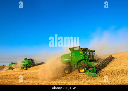 Plusieurs moissonneuses-batteuses John Deere la récolte dans la région de Washington Palouse Banque D'Images