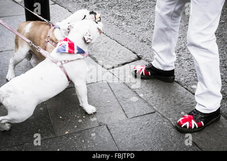 Skinhead avec Union Jack sur Dr Martens boots in street with British Bulldogs UK Banque D'Images