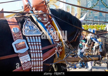 Gros plan du cheval avec faisceau de fantaisie à l'Oktoberfest de Munich, en Allemagne. Banque D'Images