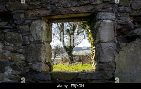 Une vieille fenêtre d'un cottage irlandais abandonnés portant en ruines. Banque D'Images