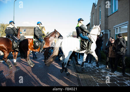 Apeldoorn, aux Pays-Bas. 17 Jan, 2016. Pegida Nederland protester à Apeldoorn (Pays-Bas). Pegida Anti-Islamism a démontré dimanche après-midi à Apeldoorn autour du Beekpark. La démonstration a été relativement calme, seulement quatre personnes ont été arrêtées. Le mouvement contre l'action antifasciste (MOF) à partir de la Frise a également pris les rues d'Apeldoorn. Credit : Romy Arroyo Fernandez/Alamy Live News. Banque D'Images