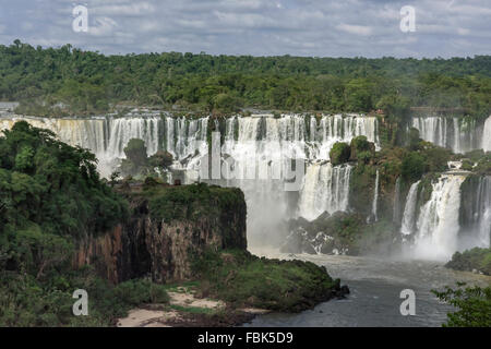 Grande Tache sombre (Cypseloides senex) martinets battant autour de St Martin Falls, Foz Do Iguacu, Brésil Banque D'Images