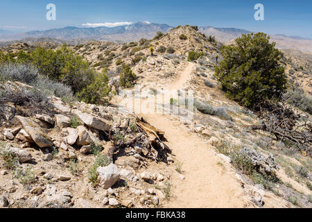 Le sentier en boucle panoramique dans Joshua Tree National Park Banque D'Images