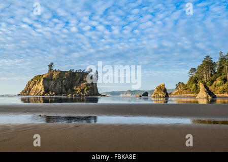 Ruby Beach dans le Parc National Olympique situé dans l'État de Washington. Banque D'Images