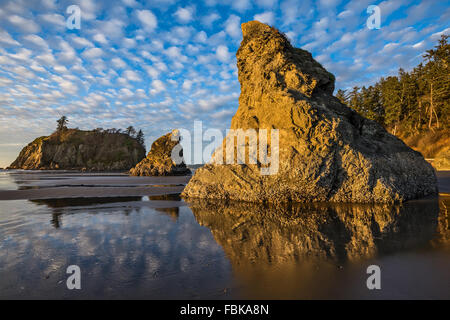 Ruby Beach dans le Parc National Olympique situé dans l'État de Washington. Banque D'Images