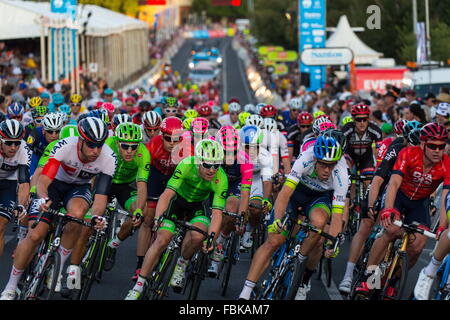 Adélaïde, Australie. 17 Jan, 2016. Jeune Australienne sensation sprint Caleb Ewan Orica (Pointe Verte) a retiré le choix du peuple dans l'East End d'Adélaïde franchissent la ligne claire de Giacomo Nizzolo bien (Trek Segafredo) et Adam Blythe (Tinkoff). People's Choice Classic course de rue, Tour Down Under. (Crédit : Gary Francis via fil Zuma Zuma) Crédit : Press, Inc./Alamy Live News Banque D'Images