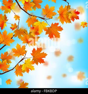 Les feuilles rouges et jaunes sur fond de ciel bleu. EPS 8 Illustration de Vecteur