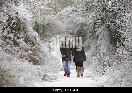 Un jeune couple à pied il y a un chien sur le chemin enneigé dans South Downs de Glyndebourne. 17 janvier, 2016. Banque D'Images