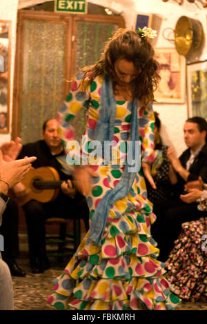 GRANADA, ESPAGNE, LE 8 MARS : Flamenco performance dans Sacromonte typique trimestre grotte, à Grenade, en Espagne, le 8 mars 2009 Banque D'Images