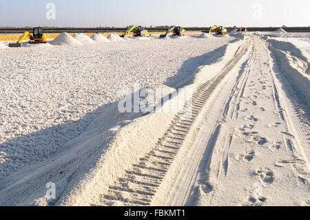 Italie, Sicile, Trapani. Une pelles sur chenilles Komatsu la récolte du sel de mer à partir d'un bassin d'évaporation. Banque D'Images