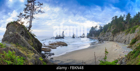 Arches, plage, belle, l'autre, jour, randonnées, faible, national, parc naturel, nature, au nord-ouest, l'océan pacifique, olympique, parc, pin, po Banque D'Images