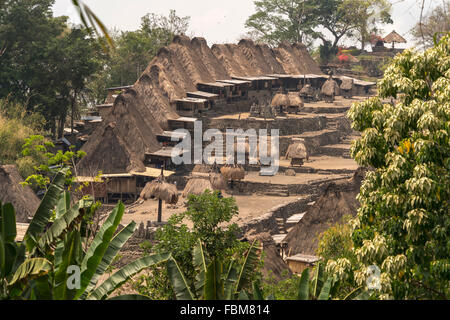 Les maisons au toit de chaume et de sanctuaires dans le village de Bena Ngada Bajawa, près de Flores, en Indonésie, en Asie Banque D'Images