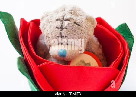 Moi à vous Teddy porter doux peluche câleusement jouet assis à l'intérieur fleur rouge sur fond blanc - moi 2 vous peluche Banque D'Images