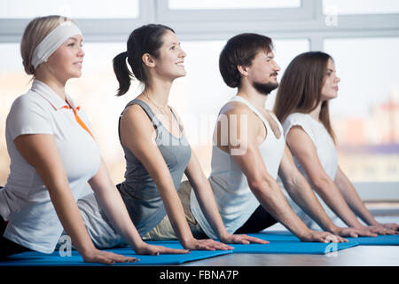 Fitness, stretching, la pratique de groupe de quatre beaux smiling fit young people working out in sports club, faire la posture du cobra Banque D'Images