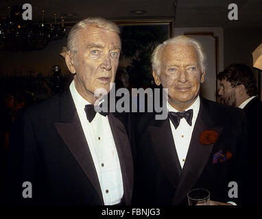 Washington, DC., USA, 22 avril, 1987 , James (Jimmy) Stewart et Douglas Fairbanks Jr. à White House Correspondents dinner. Credit : Mark Reinstein Banque D'Images