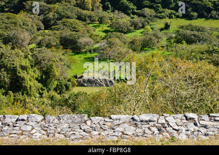 Paysage avec une petite structure à l'ancien site archéologique de Chinkultic au Chiapas, Mexique Banque D'Images