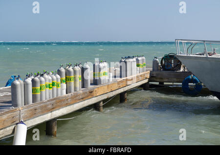 Réservoirs d'air comprimé pour la plongée sous-marine se positionnaient sur dock. Beaucoup sont Nitrox soit une concentration plus élevée d'oxygène Banque D'Images