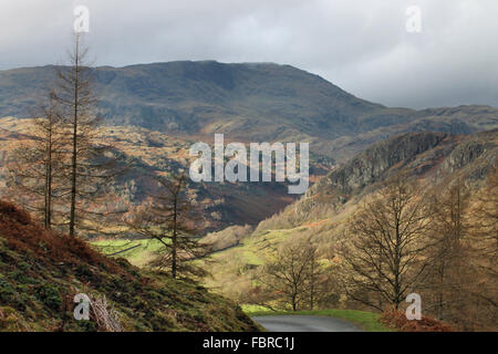 L'automne autour de Tarn Hows et Old Man Coniston Cumbria Banque D'Images