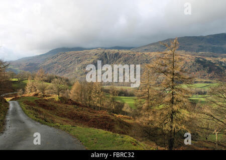 L'automne autour de Tarn Hows et Old Man Coniston Cumbria Banque D'Images