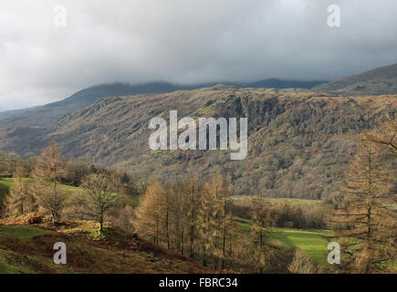 L'automne autour de Tarn Hows et Old Man Coniston Cumbria Banque D'Images