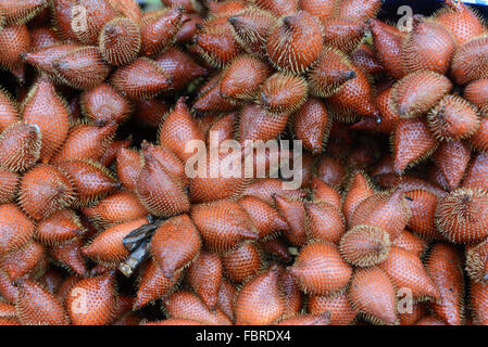 Close up of salak fruits pour la vente au marché flottant en Thaïlande. C'est la fameuse des fruits dans la province de Rayong et Chantaburi, Thail Banque D'Images