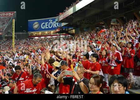 Fans de carpe Banque D'Images