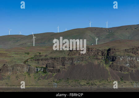 Les éoliennes le long de la rivière Columbia, près de Rufus, Oregon, USA Banque D'Images