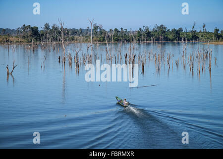 Vue d'une mer d'arbres morts sur les 3 500 millions de m3 de capacité réservoir du projet hydroélectrique Nam Theun 2, couvrant jusqu'à 450 kilomètres carrés sur le Plateau de Nakai, Laos Banque D'Images