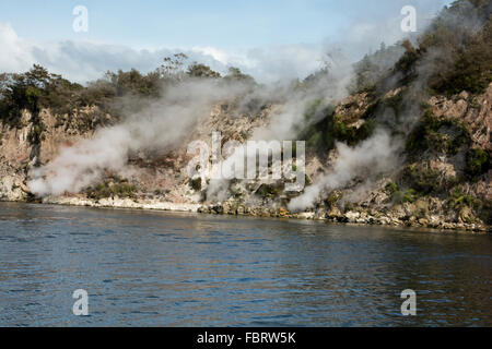 Lac Rotomahana dans la Vallée volcanique de Waimangu a beaucoup de fumerolles et sources chaudes comme la cuisson à cliffs ici. Banque D'Images