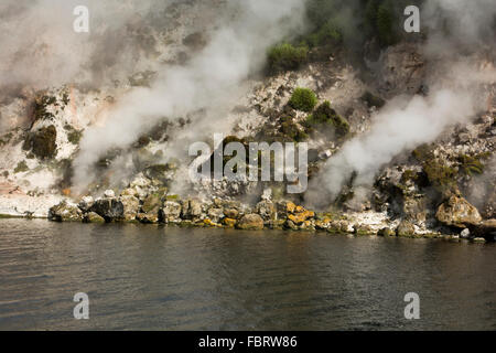 Lac Rotomahana dans la Vallée volcanique de Waimangu a beaucoup de fumerolles et sources chaudes comme la cuisson à cliffs ici. Banque D'Images