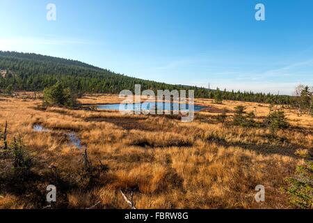 Cihadle peat moors Na Banque D'Images