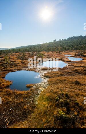 Cihadle peat moors Na Banque D'Images