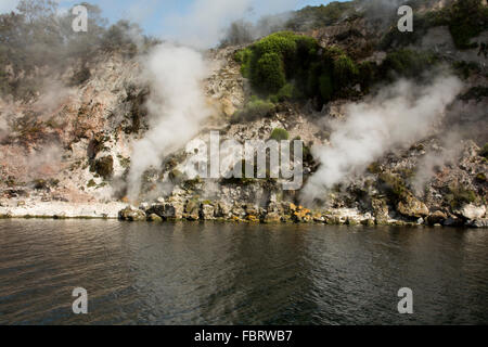 Lac Rotomahana dans la Vallée volcanique de Waimangu a beaucoup de fumerolles et sources chaudes comme la cuisson à cliffs ici. Banque D'Images