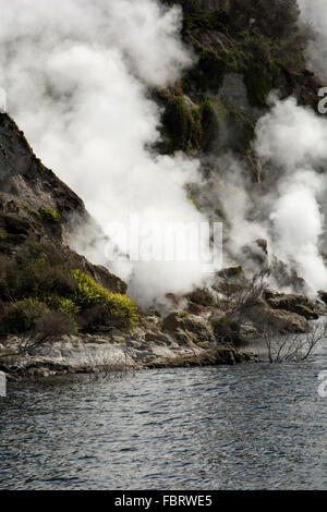 Lac Rotomahana dans la Vallée volcanique de Waimangu a beaucoup de fumerolles et sources chaudes comme la cuisson à cliffs ici. Banque D'Images