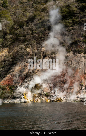 Lac Rotomahana dans la Vallée volcanique de Waimangu a beaucoup de fumerolles et sources chaudes comme la cuisson à cliffs ici. Banque D'Images