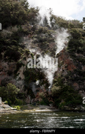 Lac Rotomahana dans la Vallée volcanique de Waimangu a beaucoup de fumerolles et sources chaudes comme la cuisson à cliffs ici. Banque D'Images