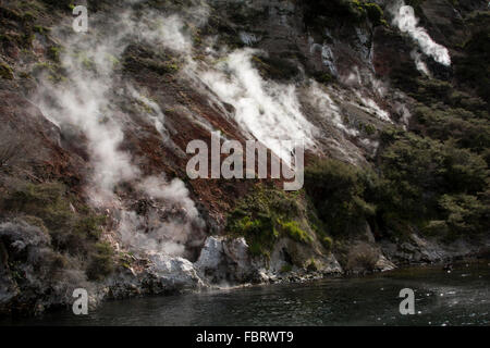 Lac Rotomahana dans la Vallée volcanique de Waimangu a beaucoup de fumerolles et sources chaudes comme la cuisson à cliffs ici. Banque D'Images