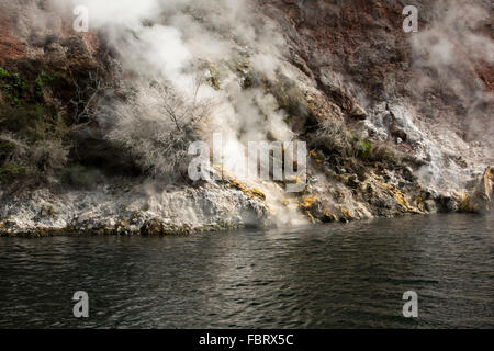 Lac Rotomahana dans la Vallée volcanique de Waimangu a beaucoup de fumerolles et sources chaudes comme la cuisson à cliffs ici. Banque D'Images