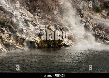 Lac Rotomahana dans la Vallée volcanique de Waimangu a beaucoup de fumerolles et sources chaudes comme la cuisson à cliffs ici. Banque D'Images