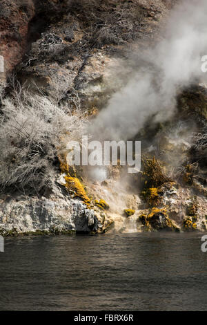 Lac Rotomahana dans la Vallée volcanique de Waimangu a beaucoup de fumerolles et sources chaudes comme la cuisson à cliffs ici. Banque D'Images