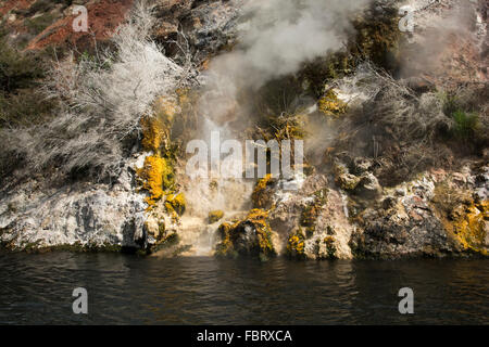 Lac Rotomahana dans la Vallée volcanique de Waimangu a beaucoup de fumerolles et sources chaudes comme la cuisson à cliffs ici. Banque D'Images