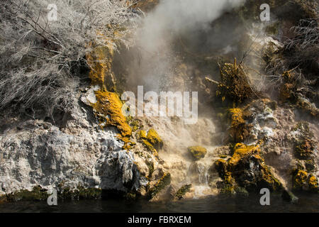 Lac Rotomahana dans la Vallée volcanique de Waimangu a beaucoup de fumerolles et sources chaudes comme la cuisson à cliffs ici. Banque D'Images