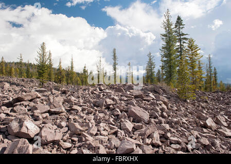 Les roches volcaniques et les arbres à feuilles persistantes dans Lassen Volcanic National Park, California, USA Banque D'Images