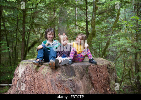 Des enfants assis ensemble à la grande souche d'arbre dans la forêt Banque D'Images