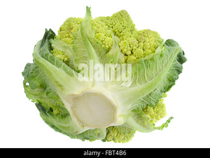 Le chou Romanesco iolsted sur fond blanc Banque D'Images