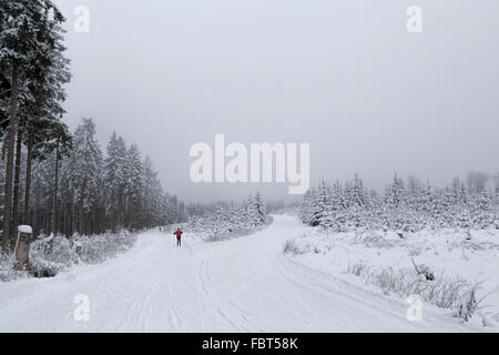 Les skieurs de fond dans un magnifique paysage hivernal, Albrechtsplatz, Bad Berleburg, dans la région de Sauerland, Rhénanie du Nord-Westphalie, Allemagne. Banque D'Images