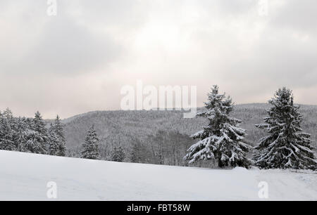 Paysage d'hiver couvert de neige fraîche dans la région de Neukirchen, Bad Berleburg, Sauerland, Rhénanie du Nord-Westphalie, Allemagne. Banque D'Images
