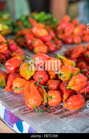 Gros plan de piles de succulents piments rouges, orange et verts sur le journal. Kohima, Nagaland, Inde Banque D'Images