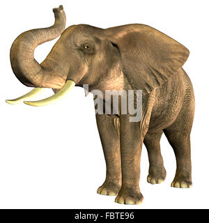 L'éléphant d'Afrique Banque D'Images